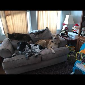 Meet your Posher, Lee-ann